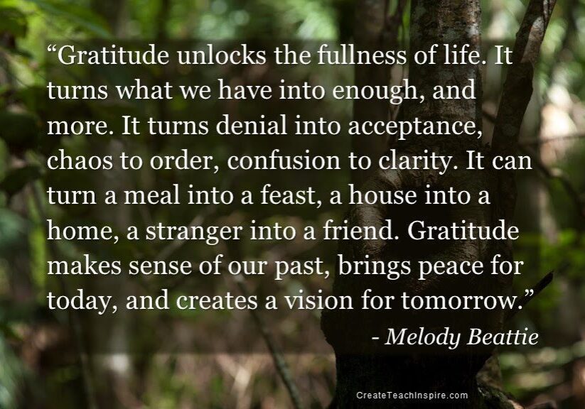A quote about gratitude transforming perspective and enriching life.